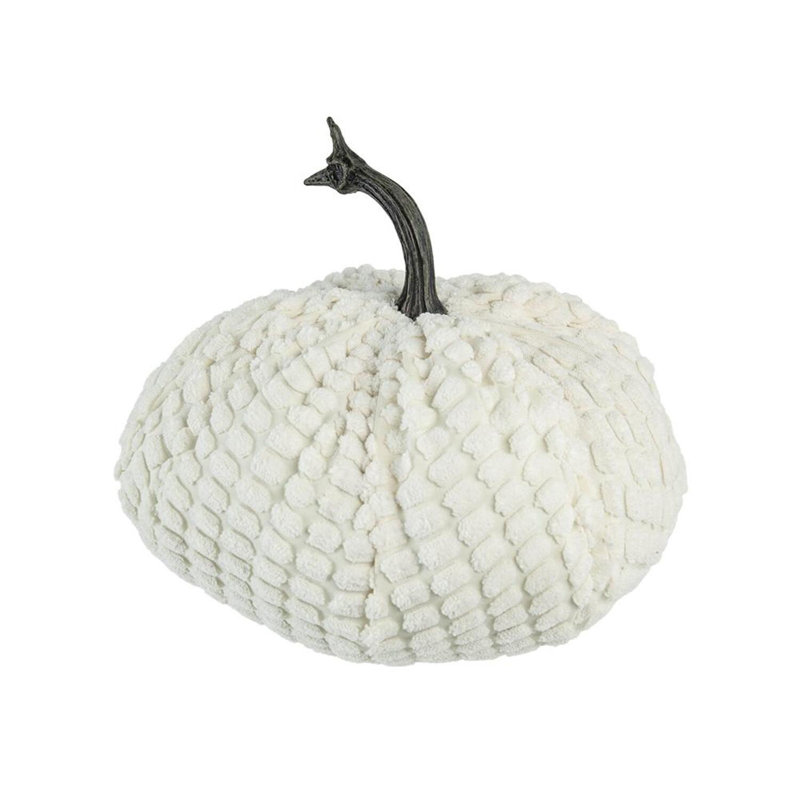 Citrouille lestée de chenille, gris
