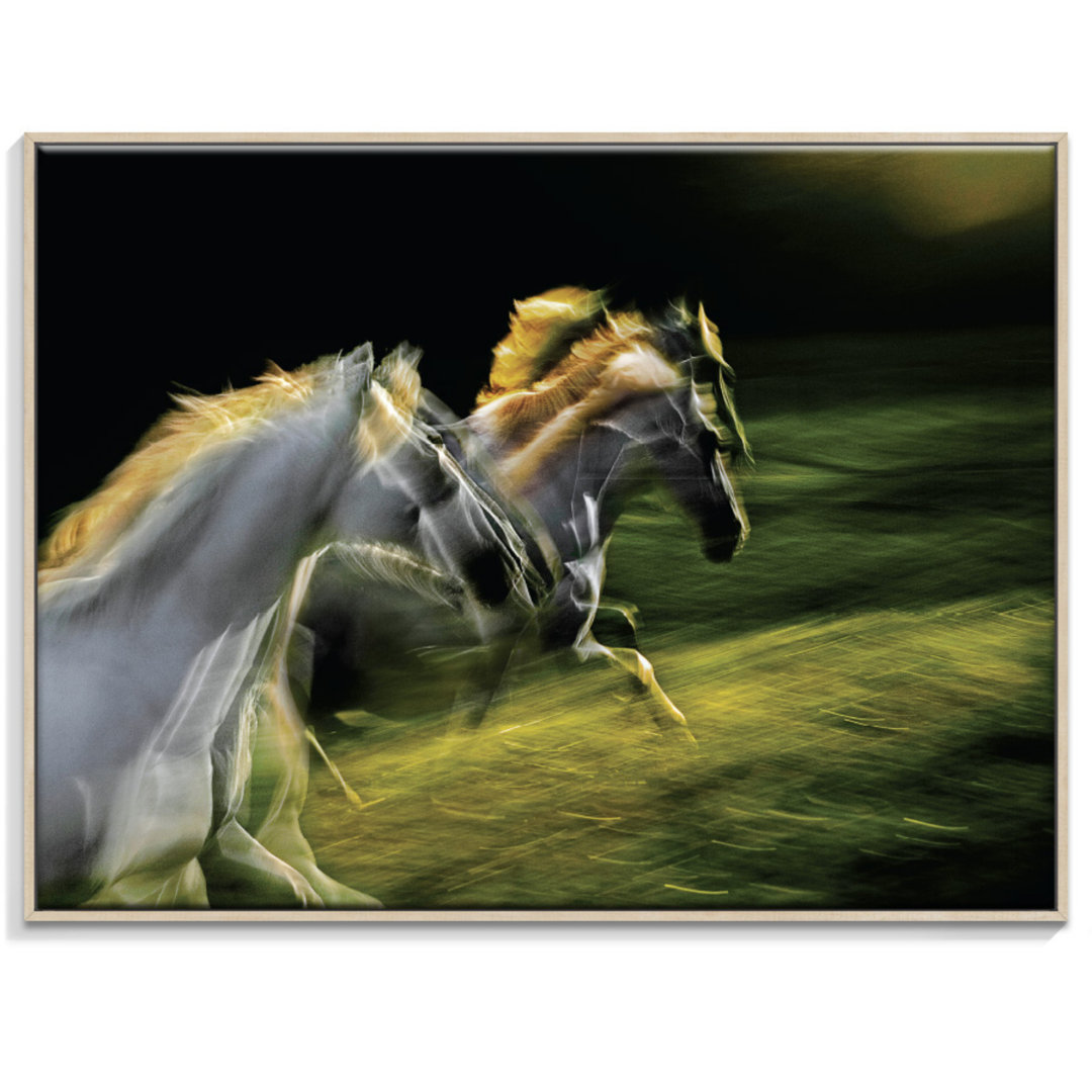 White Goddesses - Single Picture Frame Print on Canvas