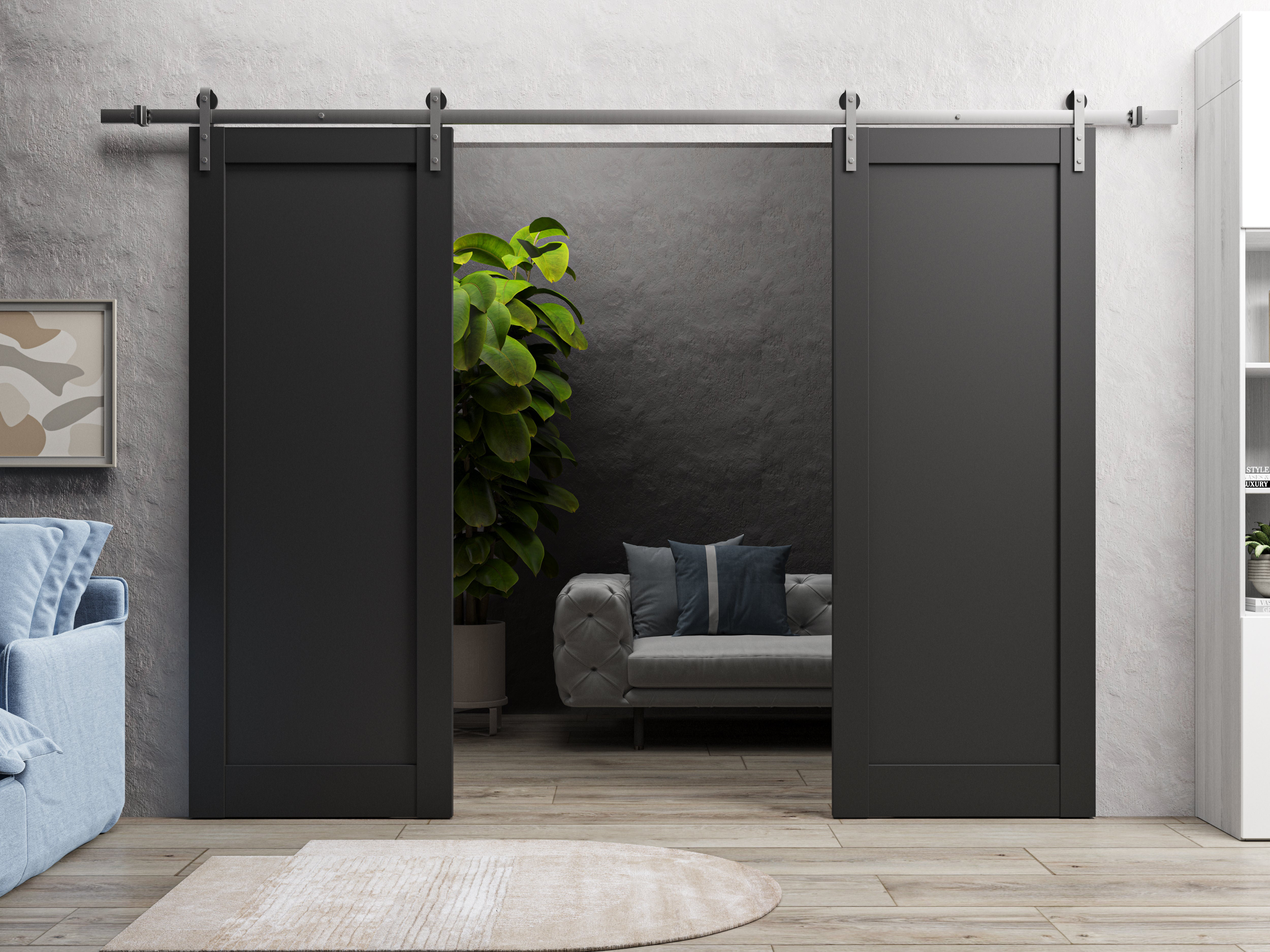 SARTODOORS Quadro Sturdy Double Barn Black Doors | Wayfair