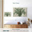 Eucalyptus neutre Harnek-107705577
