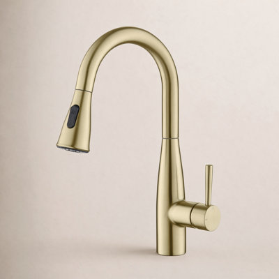 Bari Pull-Down Kitchen Faucet