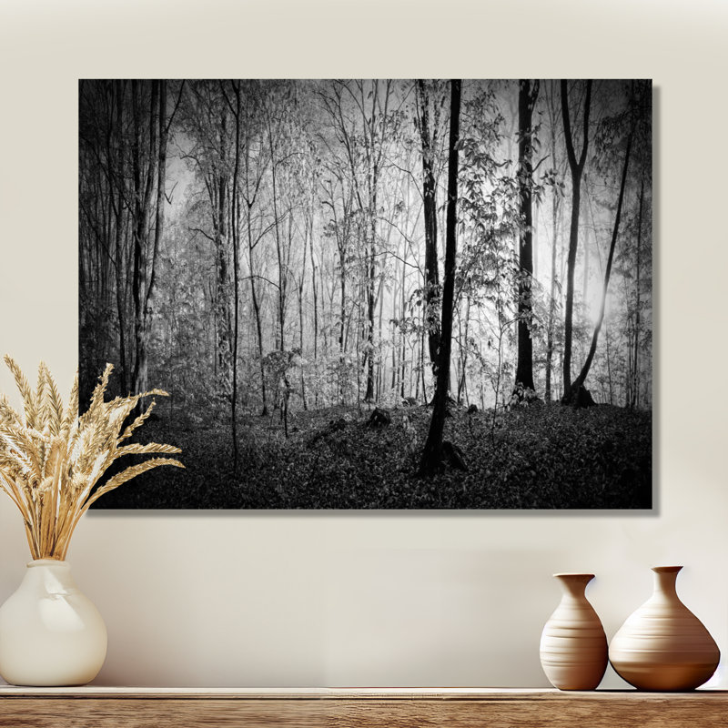 «Beautiful Forest Morning Panorama», reproduction, Toile tendue, H 24 po x l 32 po