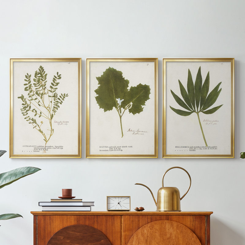 Nature imprimé fougères X - Toile tendue avec châssis sur mesure - 3 pièces, H 15 po x l 19 po, Doré