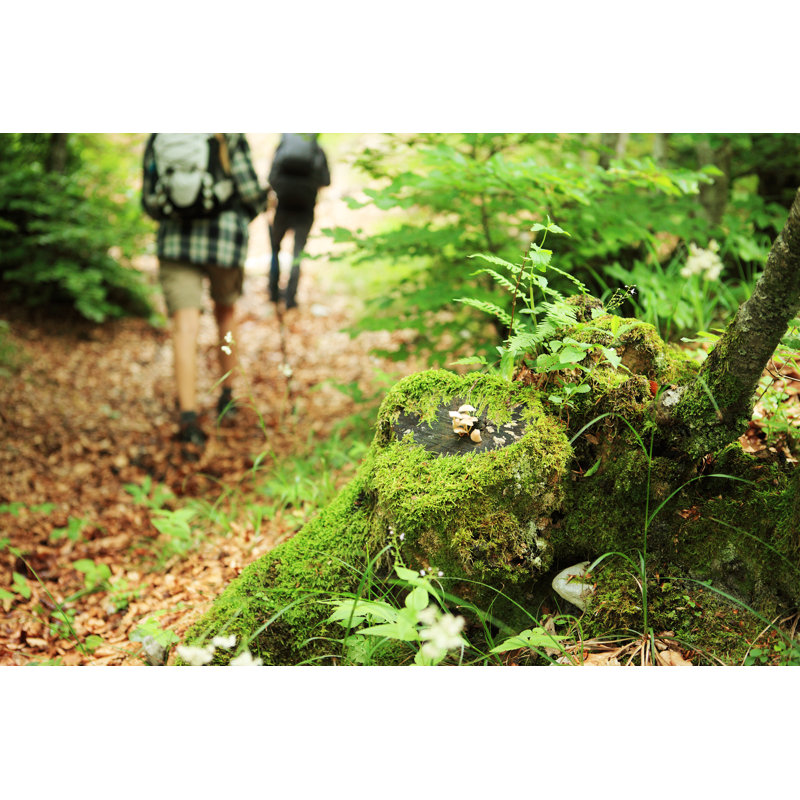 Nordic Walking - Wrapped Canvas Print, 20cm H x 30cm W x 3.8cm D