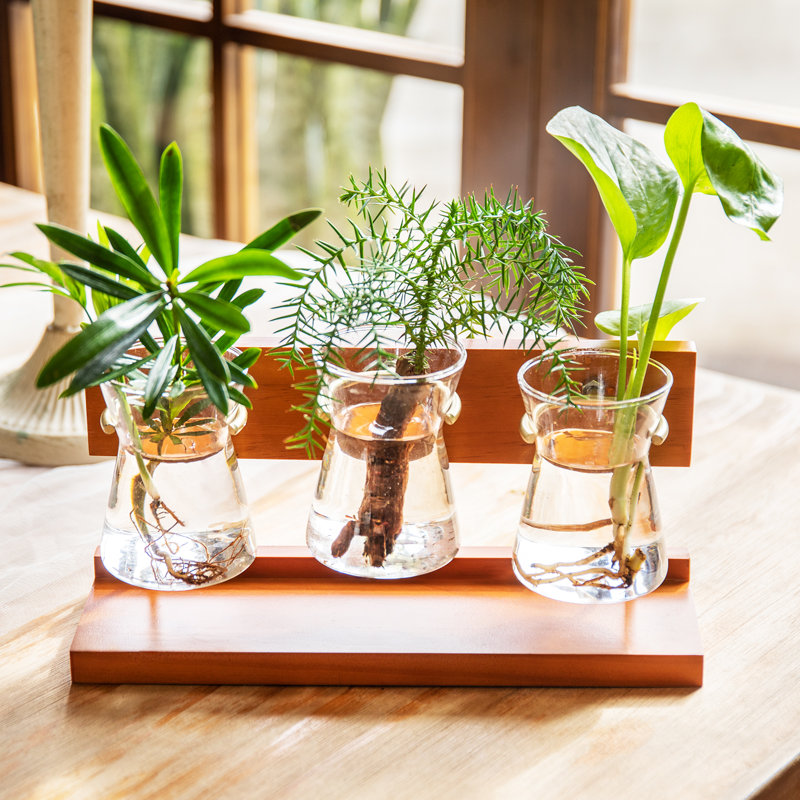 Leblond Wood Terrarium