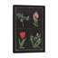 «Botanical Chart III», impression sur toile tendue-1334879856-1253871173-1253871170