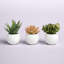 Ensemble de 3 plantes grasses artificielles en pot