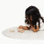 Gathre Quilted Mat-269804722