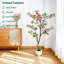 152cm Plant