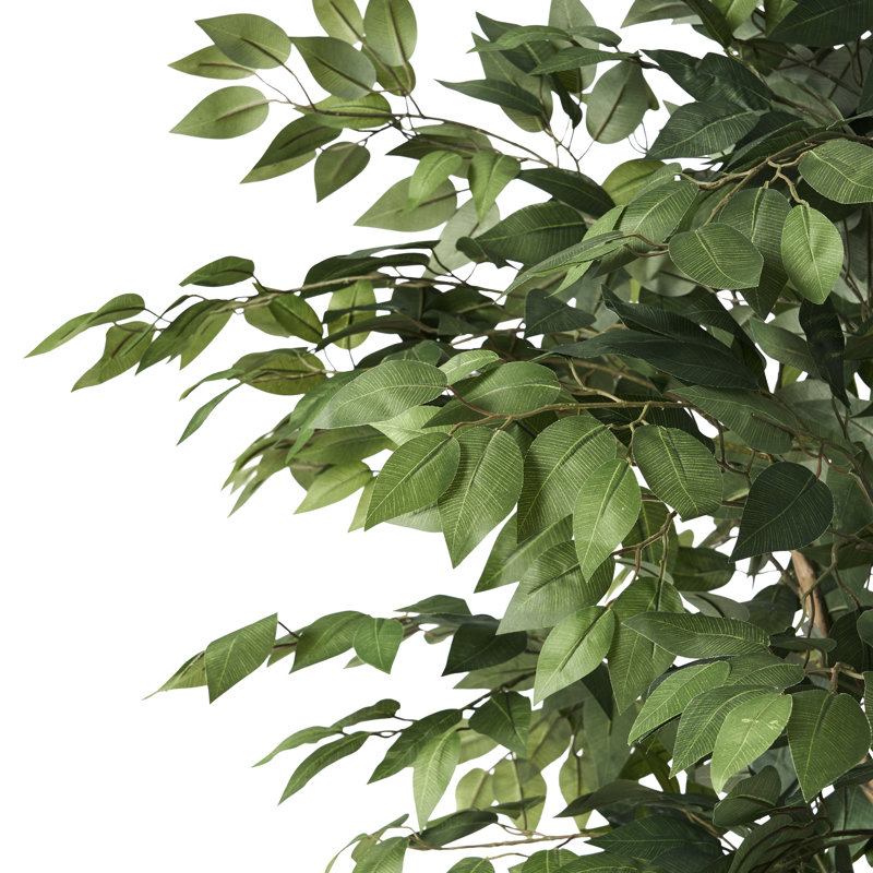 Arbre artificiel 180 cm, feuillage brillant, tronc torsadé, pré-empoté, l 30,83 po x P 71 po, amélioration de l'espace intérieur, feuilles abondantes, décoration intérieure
