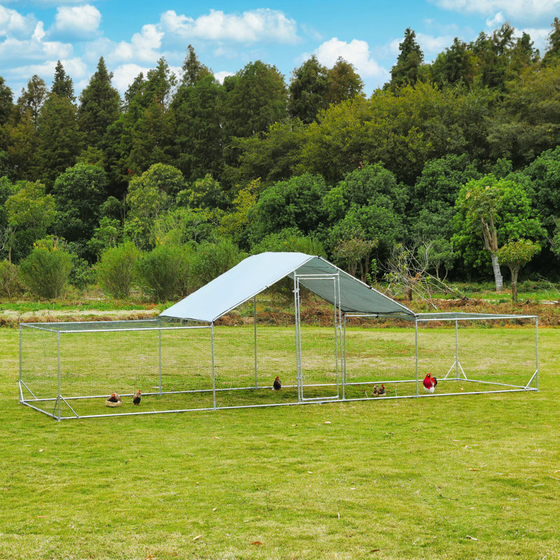 Dack Walk In Chicken Run with Chicken Run, 78'' H X 78'' W X 276'' D