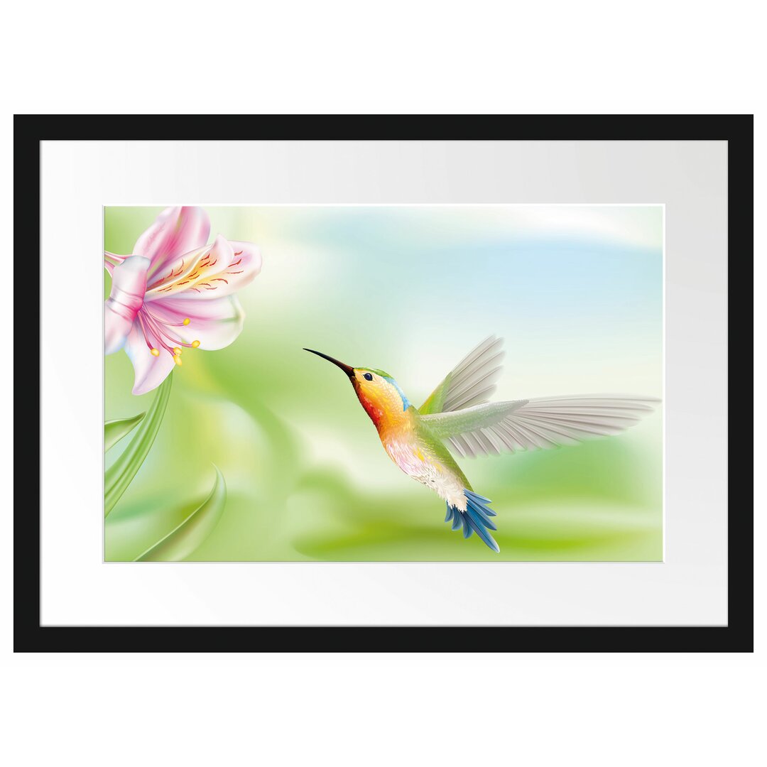 Gerahmtes Poster Wunderschöner Kolibri mit Blüte