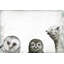 Winon Wrapped Canvas Print-553972657