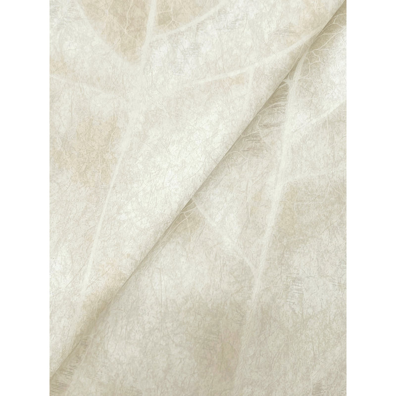Papier peint Dicot, Gris