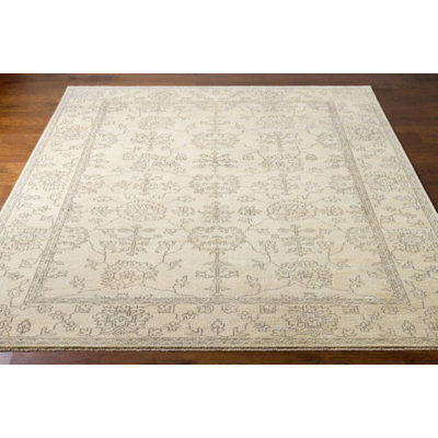 Matthieu Wool Oriental Indoor Rug