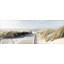 Seeblick III - No Frame Print on Canvas