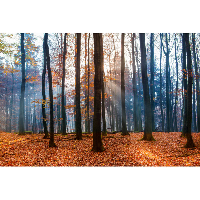 «Autumn Feel» - Photographie sur toile tendue, H 20 po x l 30 po x P 1 po
