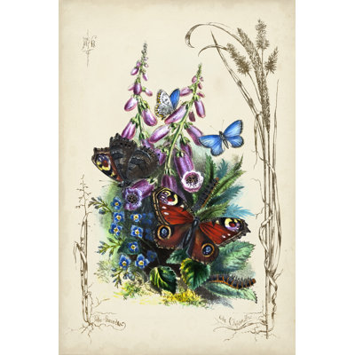 Victorian Butterfly Garden VI - Wrapped Canvas Print