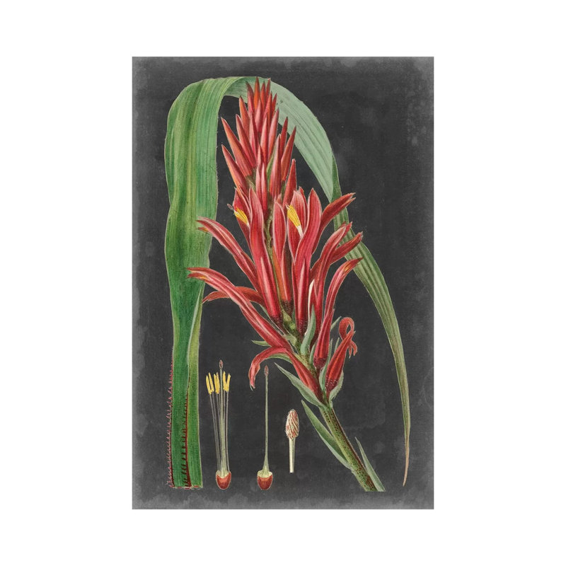 Dramatic Tropicals II by Vision Studio - Wrapped Canvas Gallery-Wrapped Canvas Giclée, 20.32 cm H x 30.48 cm W