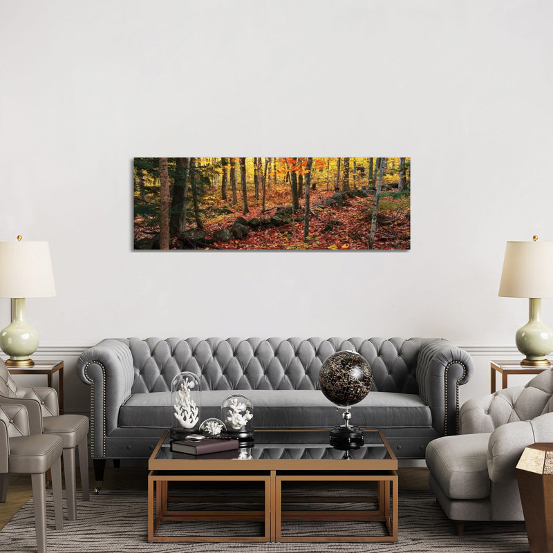 Trees In A Forest During Autumn, Hope, Knox County, Maine, USA - Wrapped Canvas Panoramic Painting