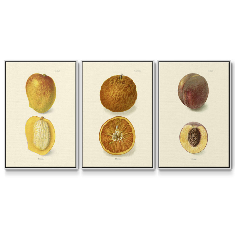 Mango - ensemble de 3 reproductions sur toile, Blanc, H 27 po x l 54 po x P 2 po