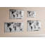 Magnetic Memo Board Whiteboard - 120 x 60 cm - With Marker and Magnets - World map on wood