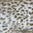 Animal Print Reversible Throw Pillow-86565382-86565387-86565388