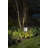 Hinkley Republic LED Path Light-101574218