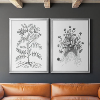 " Plant Specimen IX " 2 - Pieces