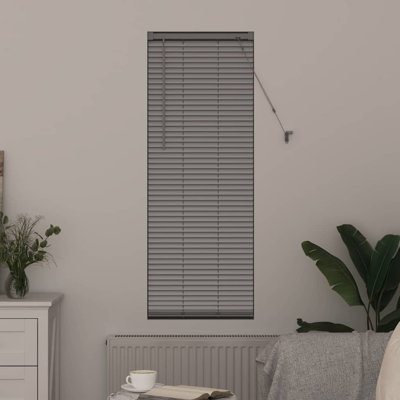 Horizontal/Venetian blind