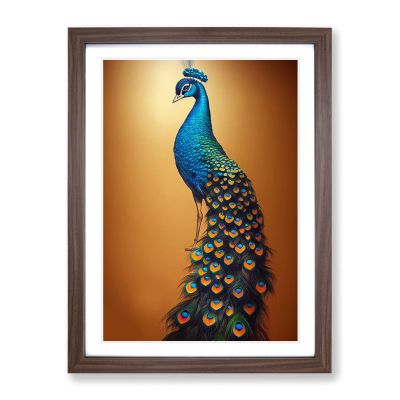 Shimmering Peacock - Framed Print, 64cm H x 46cm W x 2cm D, Walnut Framed
