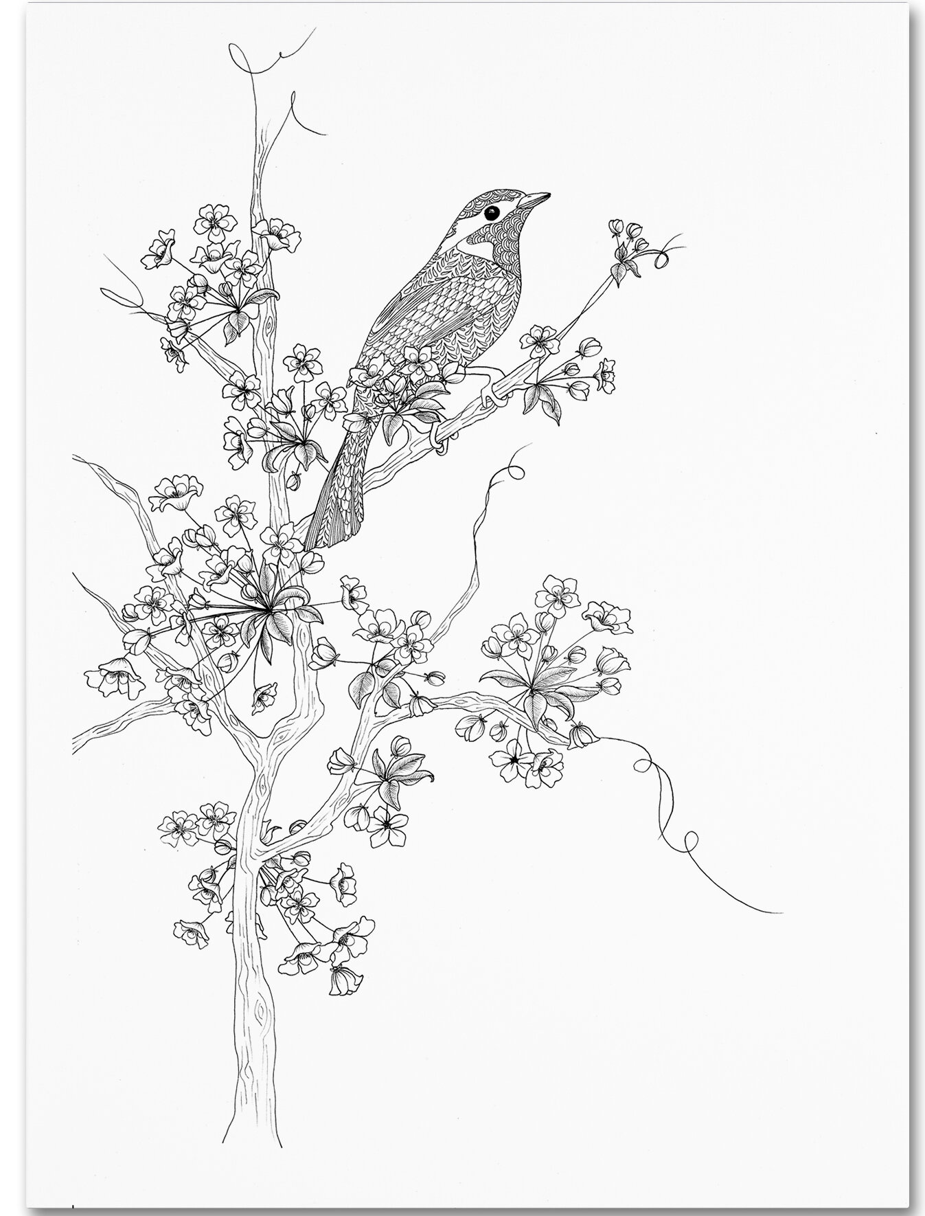 Free Flower Printout, Download Free Flower Printout png images, Free  ClipArts on Clipart Library