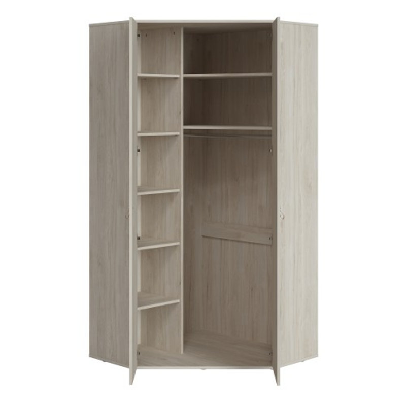 Aroon 2 Door Solid Wood Wardrobe