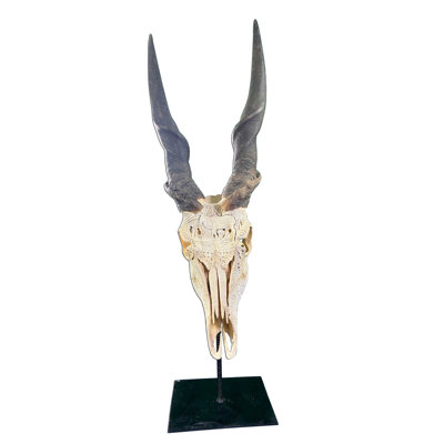Giant Hand-Carved Real Eland Skull on Metal Pedestal
