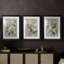 FLORAL Series CCLVI - Impression encadrée sur mesure de qualité supérieure - 3 pièces-2062514799-2062514798