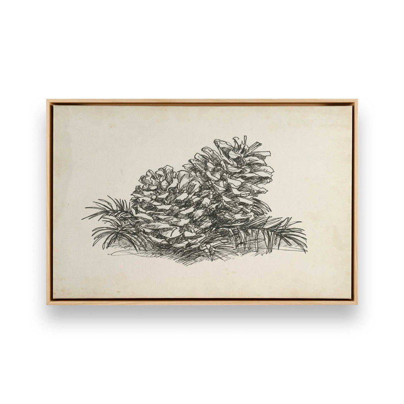 «Christmas Conifers I» par Ethan Harper, reproduction d'art sur toile, H 20 po x l 30 po, Tanné