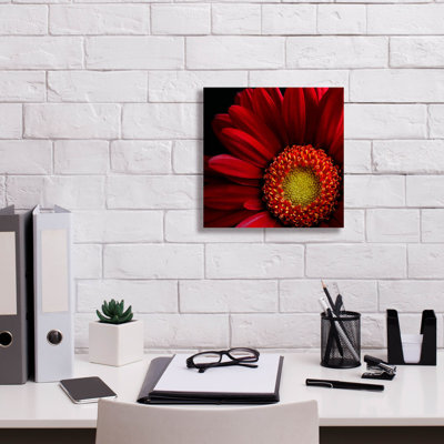 Gerbera rouge sur fond noir par Tom Quartermaine