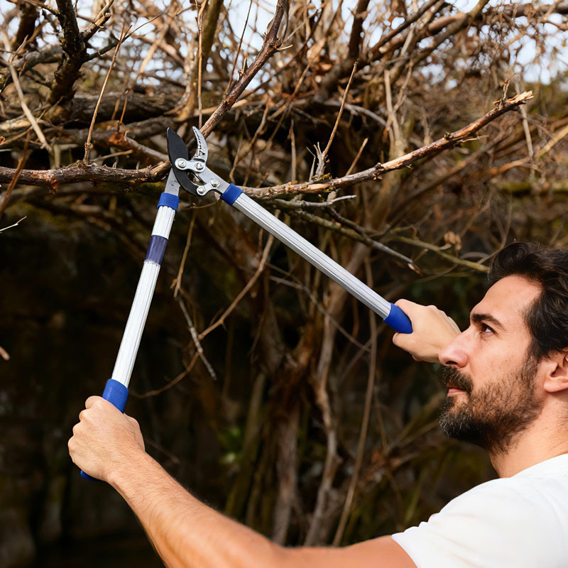Professional Bypass Lopper for Tree Trimming – Heavy Duty Pruning Shears