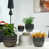 Gris anthracite / gris est en rupture de stock