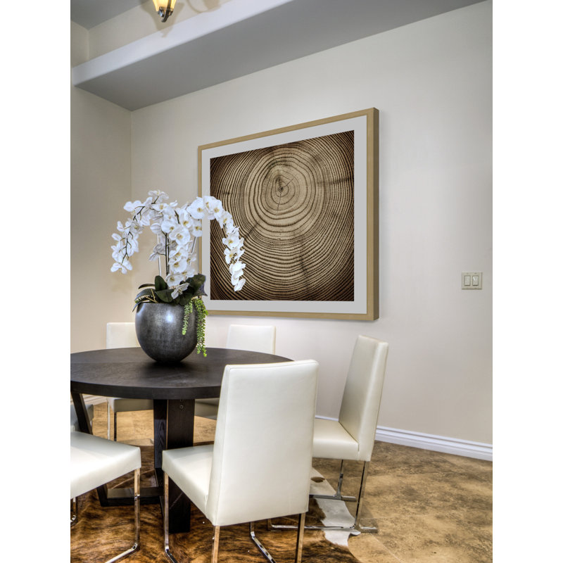 Single Picture Frame Print, 51 x 51cm