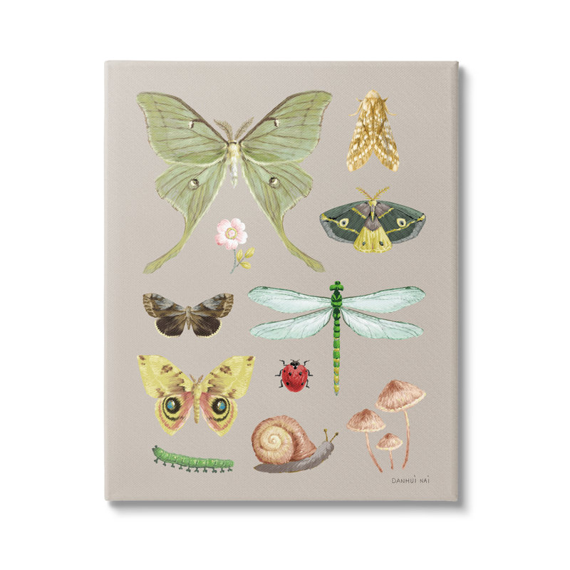 Diverses études sur les insectes par Danhui Nai - reproduction, H 20 po x l 16 po x P 1,5 po