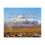 Fear Not Little Flock Luke-89703687