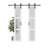 Double Sliding Glass Barn Door with Installation Hardware Kit-70292597