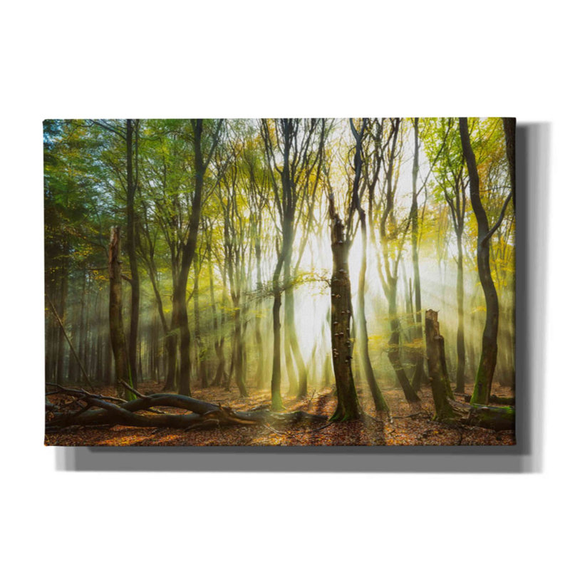 Still Still par Lars Van De Goor - reproduction de photo sur toile tendue, H 18 po x l 26 po x P 0,75 po