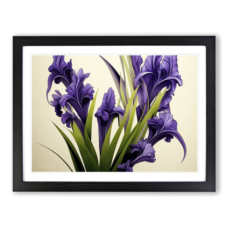 Boundless Iris Flowers - Single Picture Frame Print, Black Framed, 46cm H x 64cm W x 2cm D