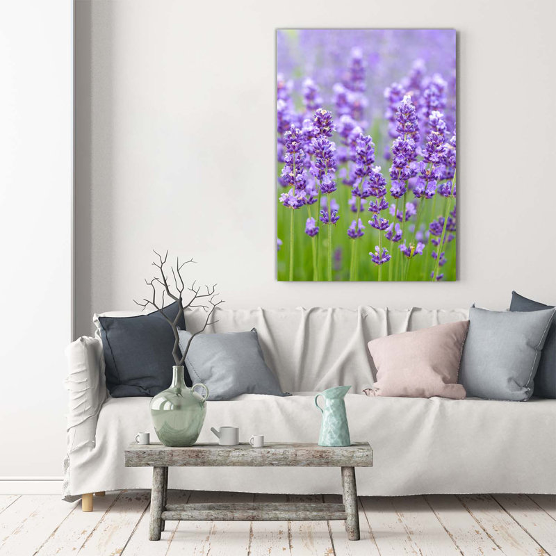 Lavender Field - Wrapped Canvas Print
