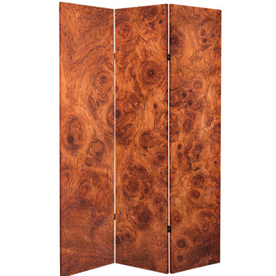 Jacoby Architectural Accent Canvas Room Divider 