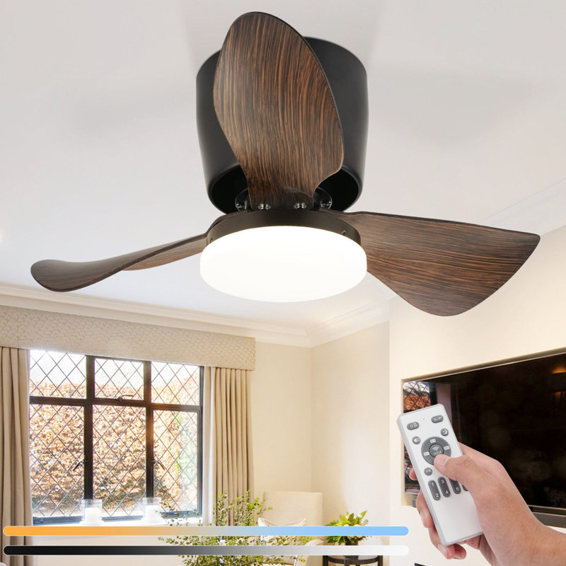 Ceiling Fan with LED Lights