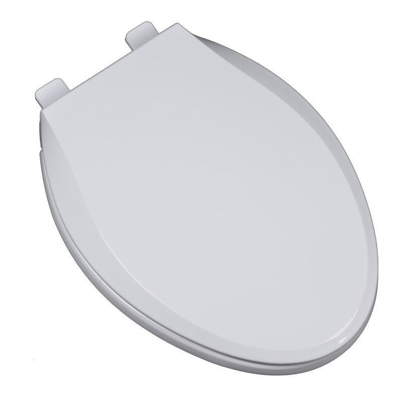 Elongated Toilet Seat and Lid