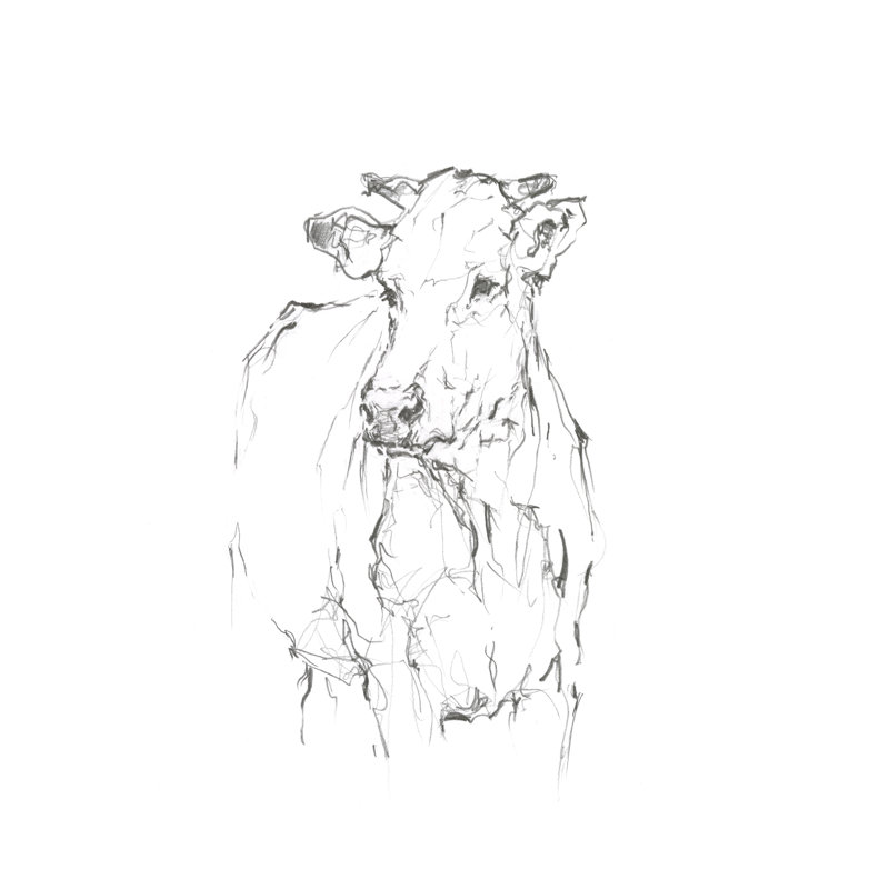Bovine Quick Study II - Painting, 122 cm H x 81 cm W, Black Floater Framed